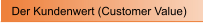 Der Kundenwert (Customer Value)