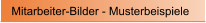 Mitarbeiter-Bilder - Musterbeispiele