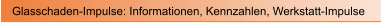 Glasschaden-Impulse: Informationen, Kennzahlen, Werkstatt-Impulse