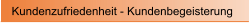 Kundenzufriedenheit - Kundenbegeisterung